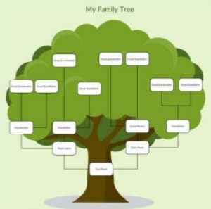 Family Tree - Genealogical Program - Delaware County Genealogical Society