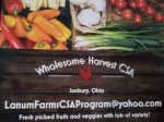 Delaware Farm Tour - Wholesome Harvest CSA - Delaware County Ohio